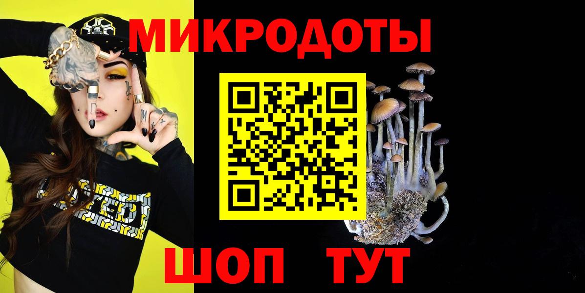 Галлюциногенные грибы прущие грибы Махачкала