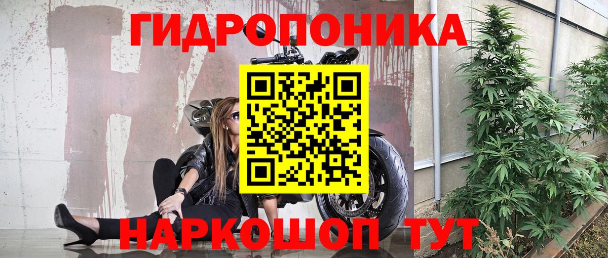 МАРИХУАНА White Widow  Каннабис THC 21%  Каннабис планчик  Вход с VPN  Канабис OG Kush  Махачкала 